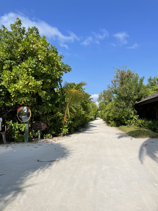 Gartenanlage Kuredu Island Resort & Spa