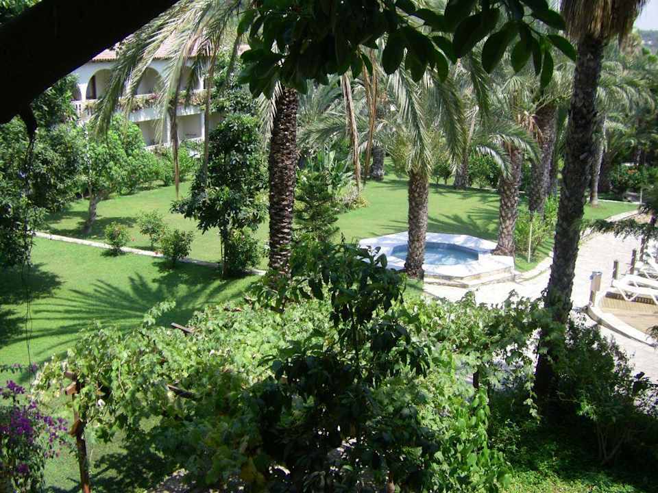 Restaurantaussicht Alara Hotel