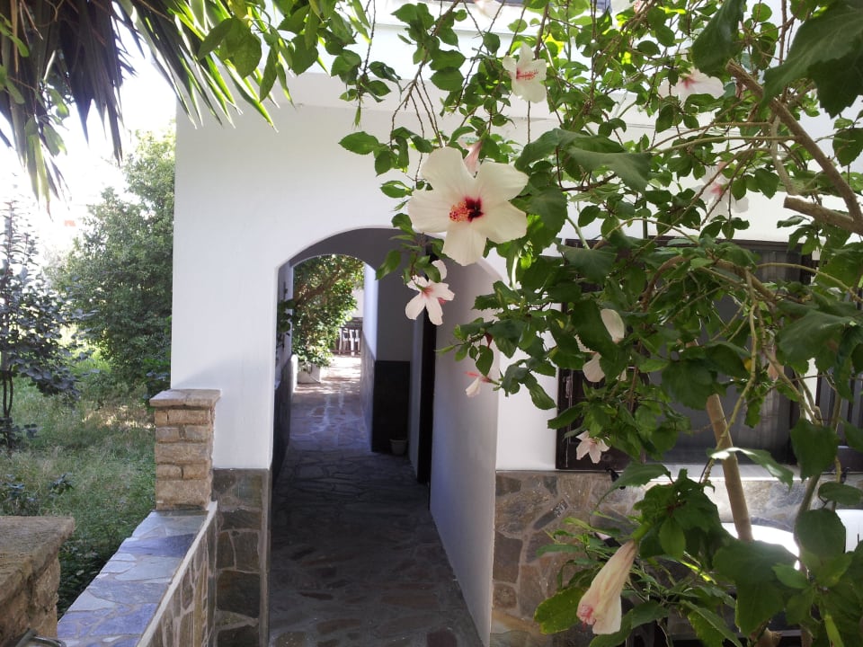 Weg zum Ausgang Hotel Golden Sun