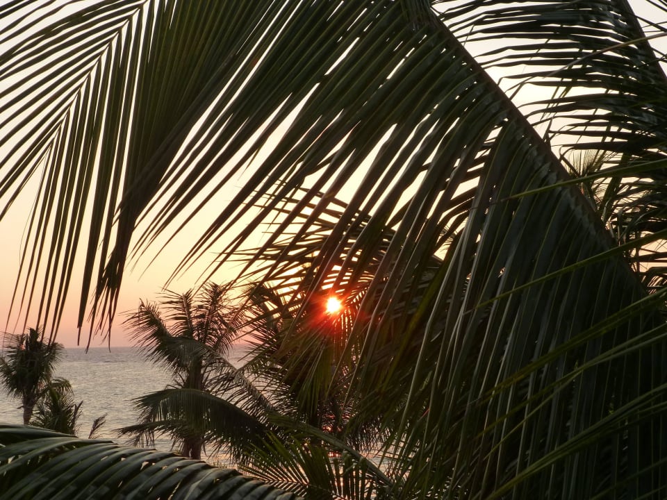 Sonnenaufgang Akumal Bay Beach & Wellness Resort