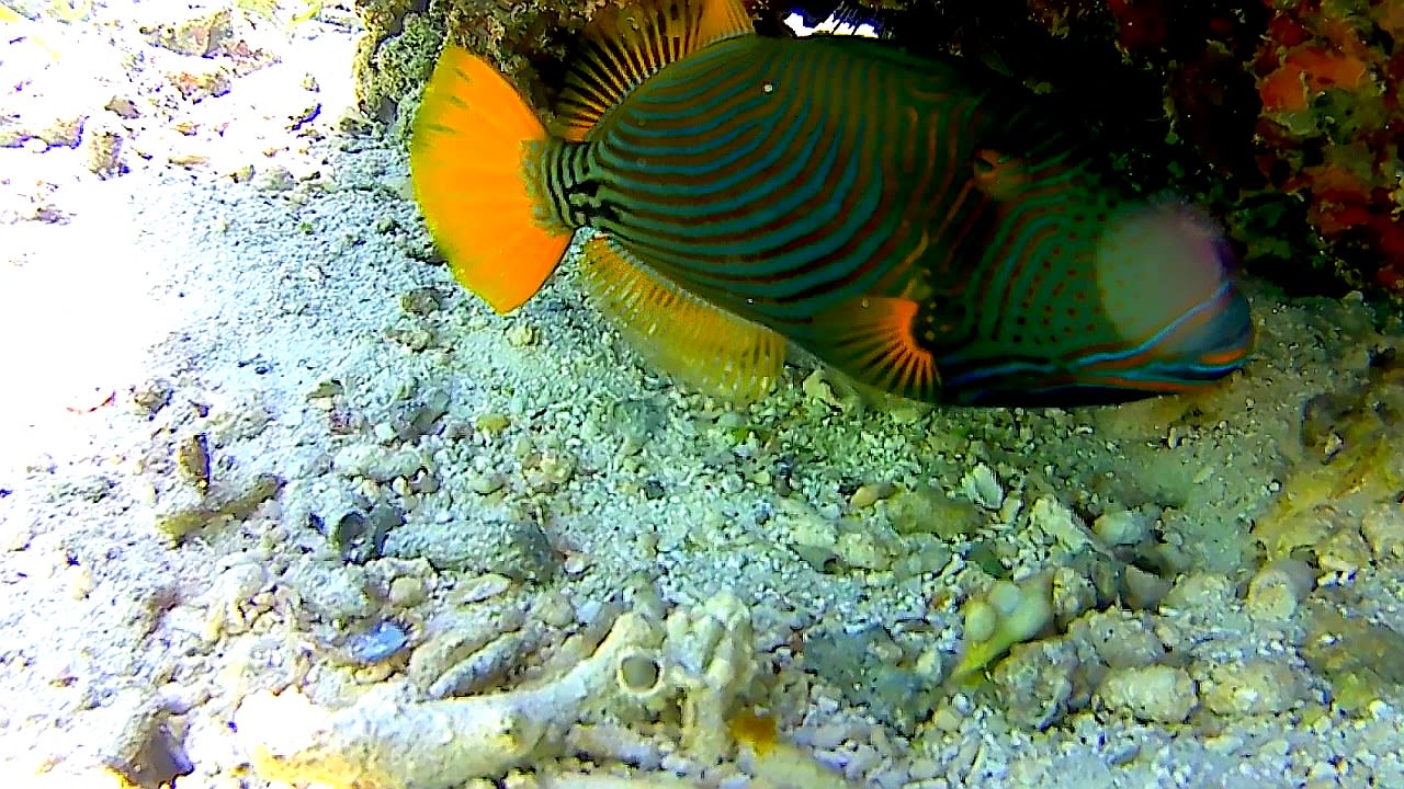 Sport & Freizeit Adaaran Select Hudhuran Fushi - Premium All Inclusive