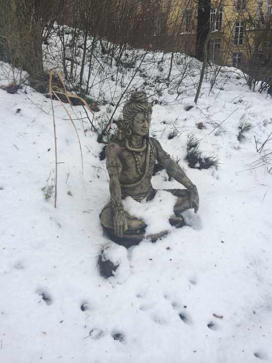 Garten im Winter Spirit & SPA Hotel Birkenhof am Elfenhain