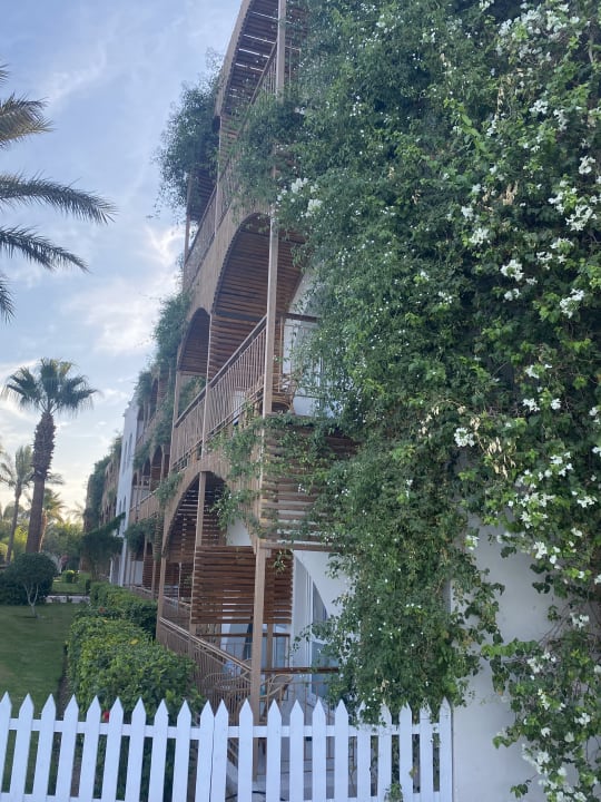 Gartenanlage Desert Rose