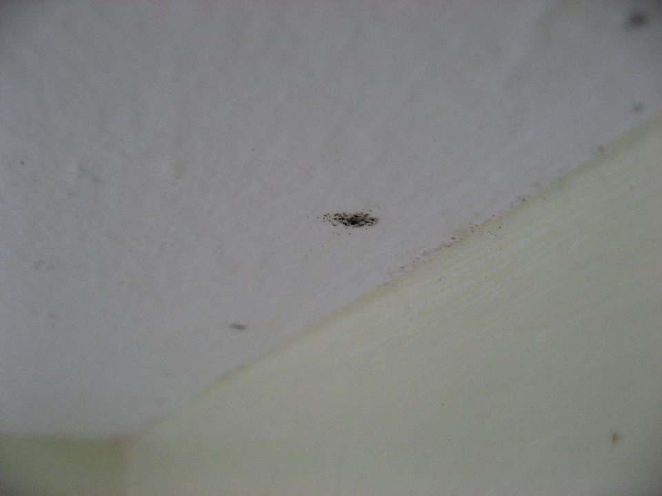 Unsere Junio-Suite im Haus Nr. 11 (unten links) Grand Palladium Select Bávaro Resort & Spa