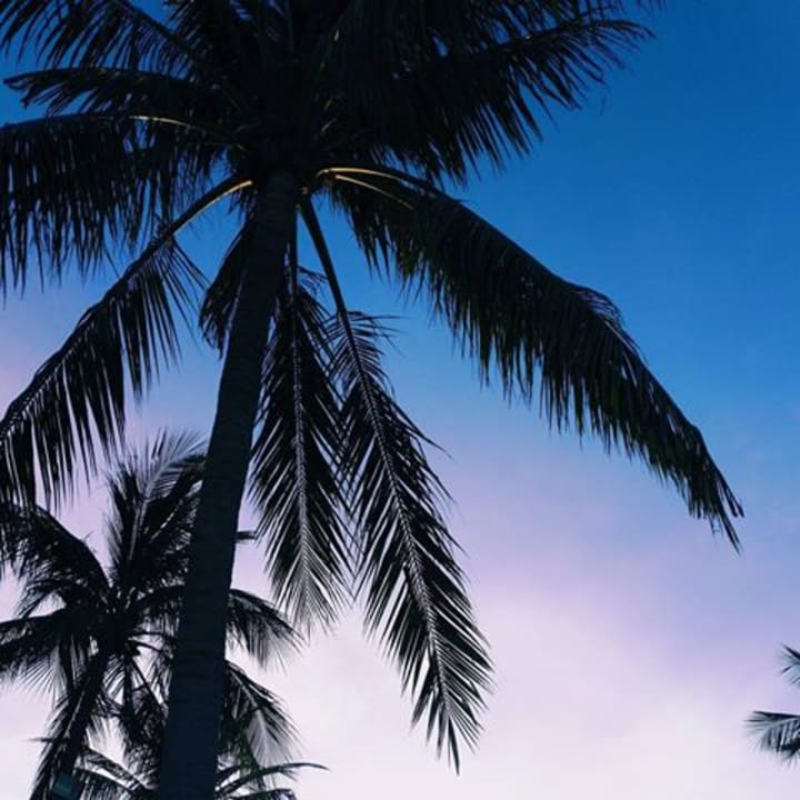 Strand Banana Fan Sea Resort