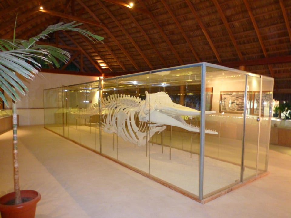 Eco Center Kuramathi Maldives