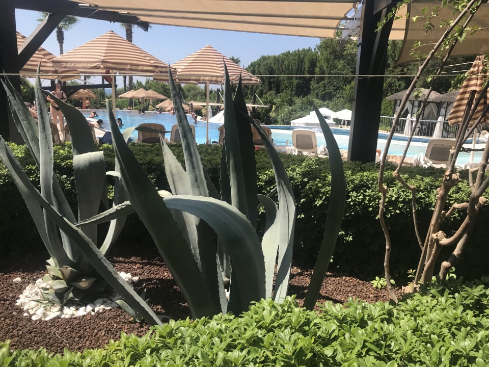 Gartenanlage Adalya Resort & Spa - Adults Only