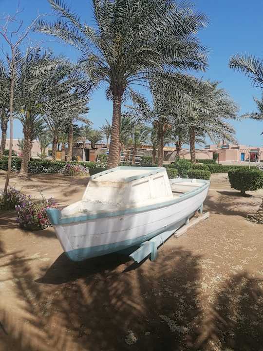 Gartenanlage Club Paradisio El Gouna, Red Sea