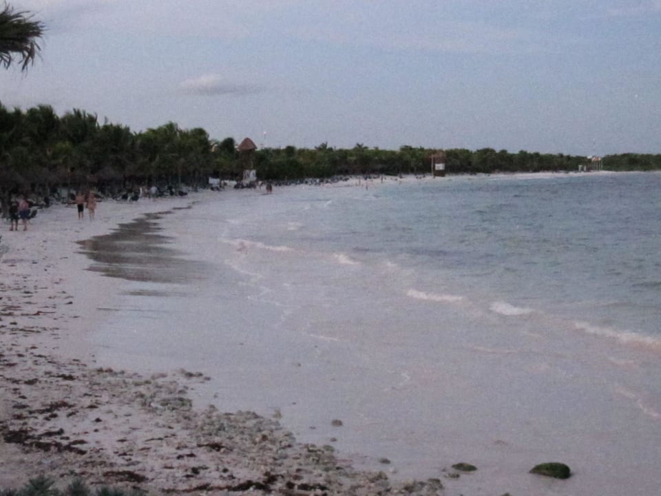 Gesamtstrand TRS Yucatan Hotel - Adults only