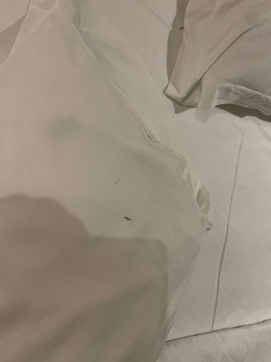 Zimmer Solana Beach Mauritius