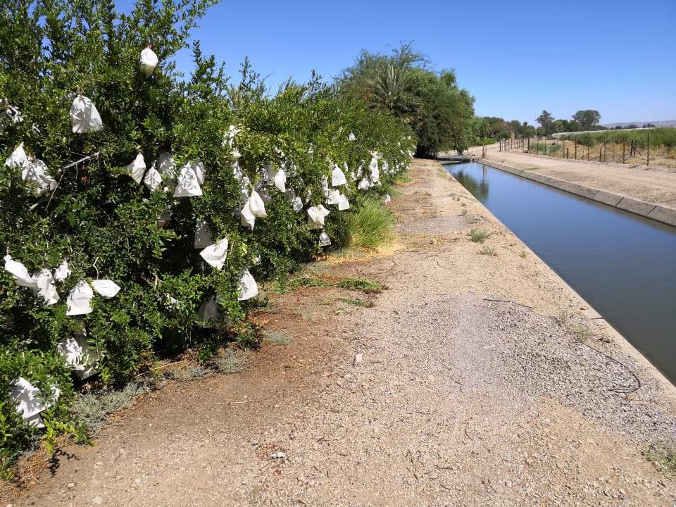 Farmland Augrabies Valle B&B