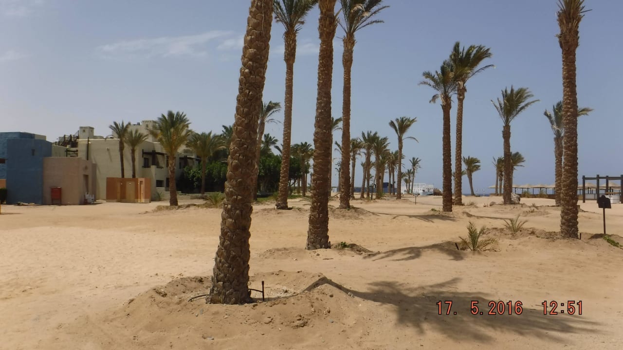 Strand Pickalbatros Sands Hotel - Port Ghalib