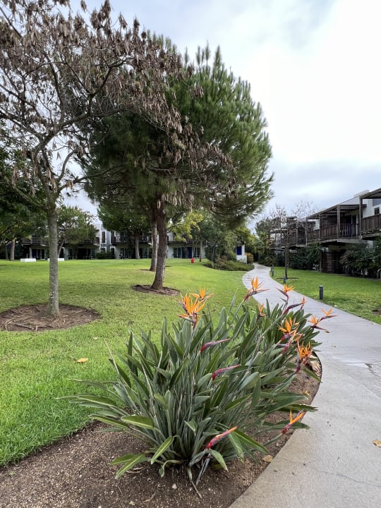 Gartenanlage ROBINSON QUINTA DA RIA