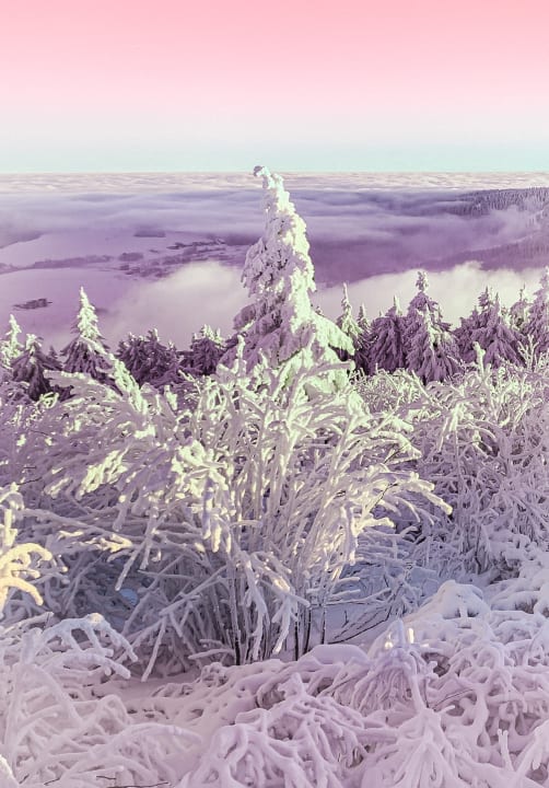 Ausblick Best Western Ahorn Hotel Oberwiesenthal - Adults only