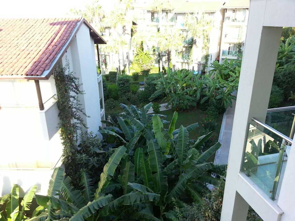 Vom Zimmer Sealife Buket Resort & Beach