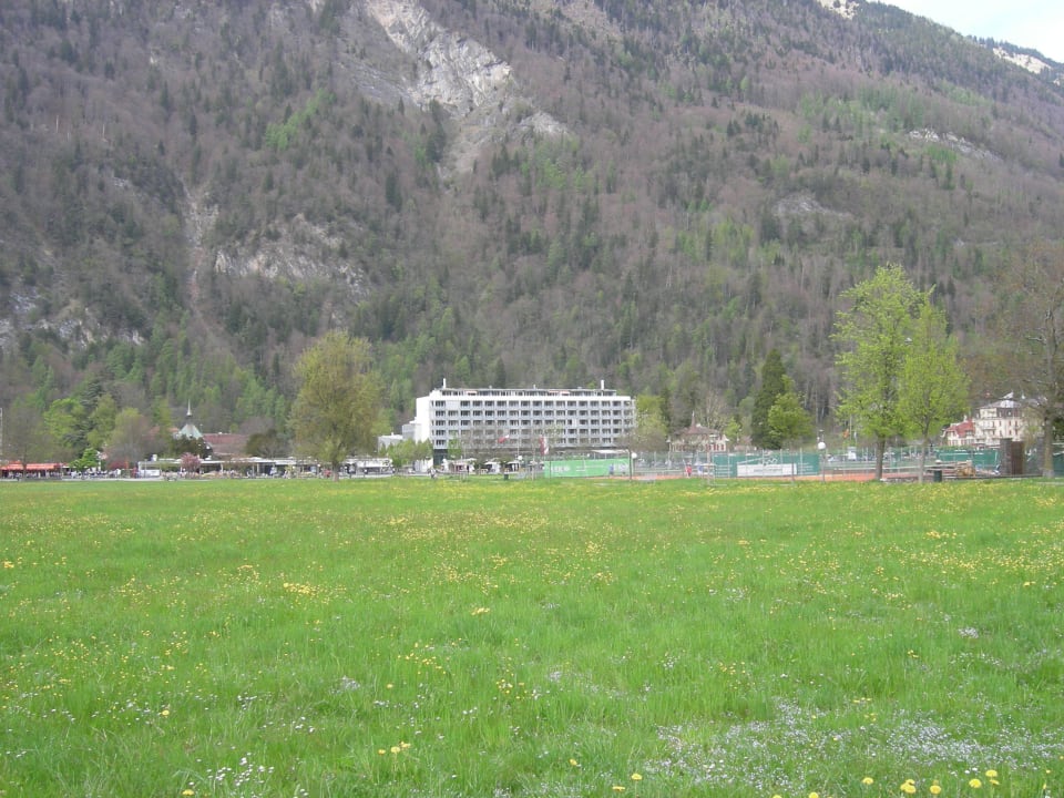 Hotel Hapimag Hapimag Resort Interlaken