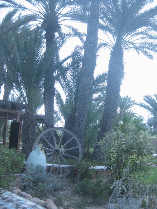 Deko Golf Beach Hotel & Spa
