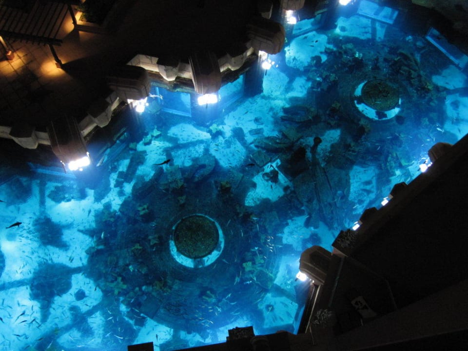 Aquarium von oben bei Nacht Atlantis, The Palm