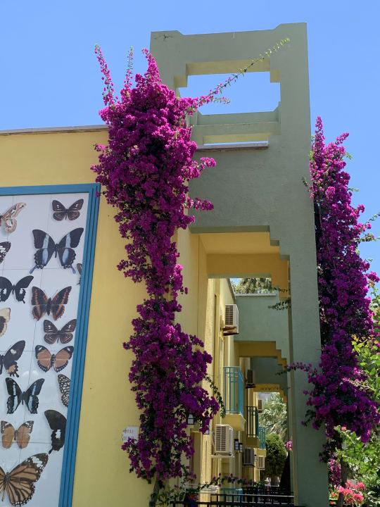 Sonstiges VONRESORT Golden Coast