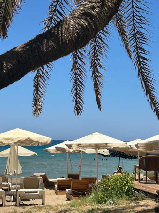 Strand Zeus Hotels Palm Beach