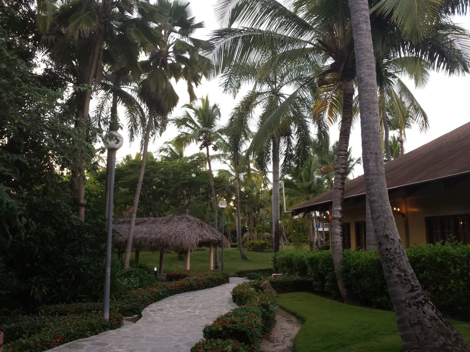 Hotel Grand Palladium Palace Resort, Spa & Casino Hotel Grand Palladium Palace Resort, Spa & Casino