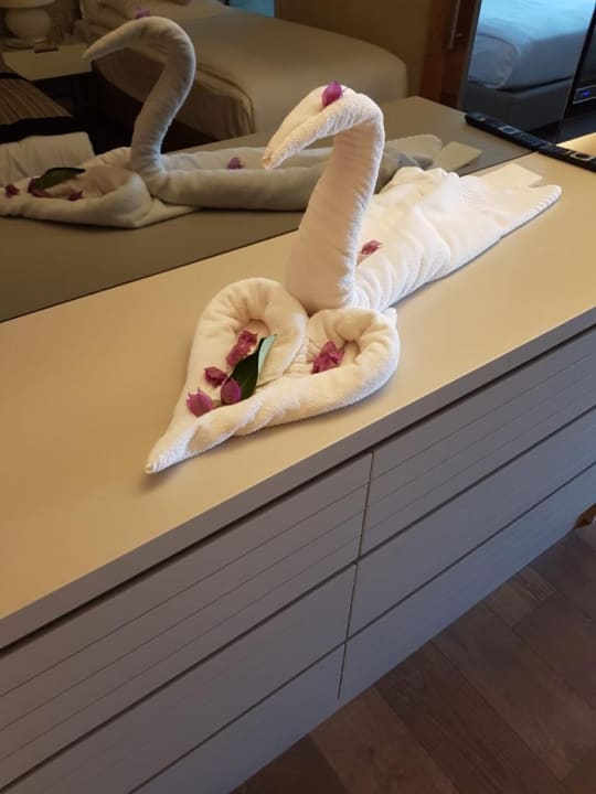 Zimmer Acanthus Cennet Barut Collection