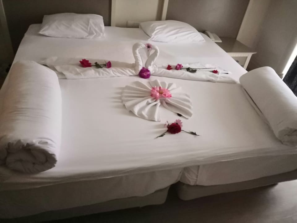 Zimmer Aydinbey Kings Palace & Spa