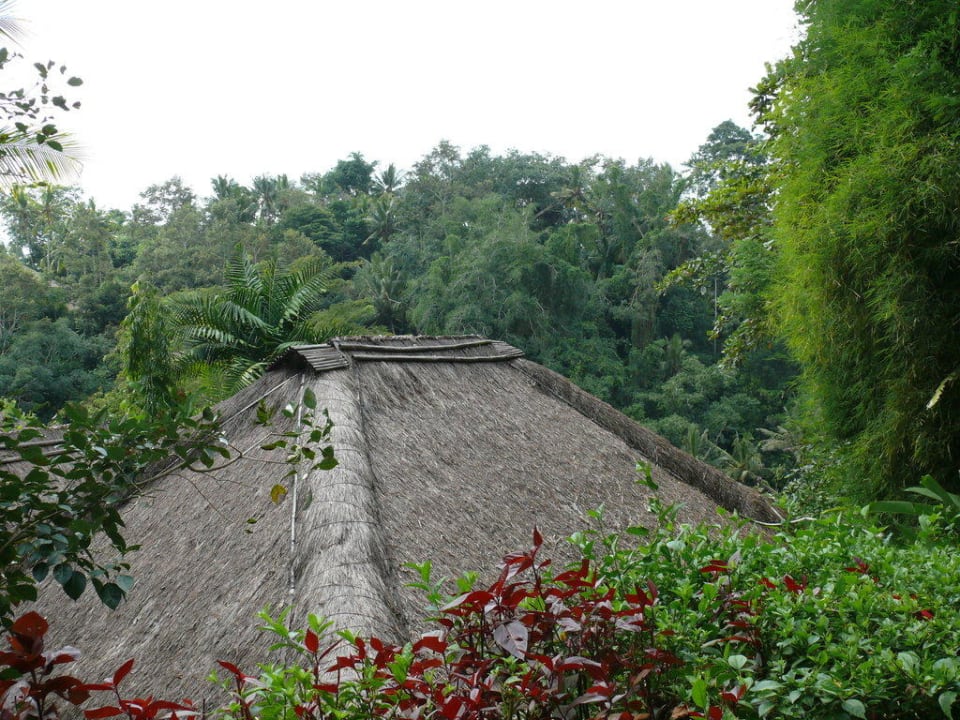 Gartenanlage Maya Ubud Resort & Spa Bali