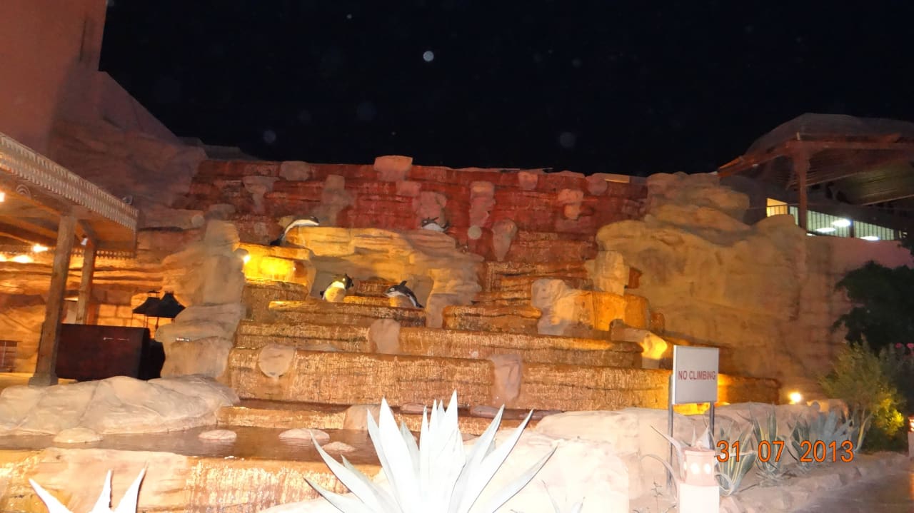 Przy grillu Parrotel Aqua Park Resort