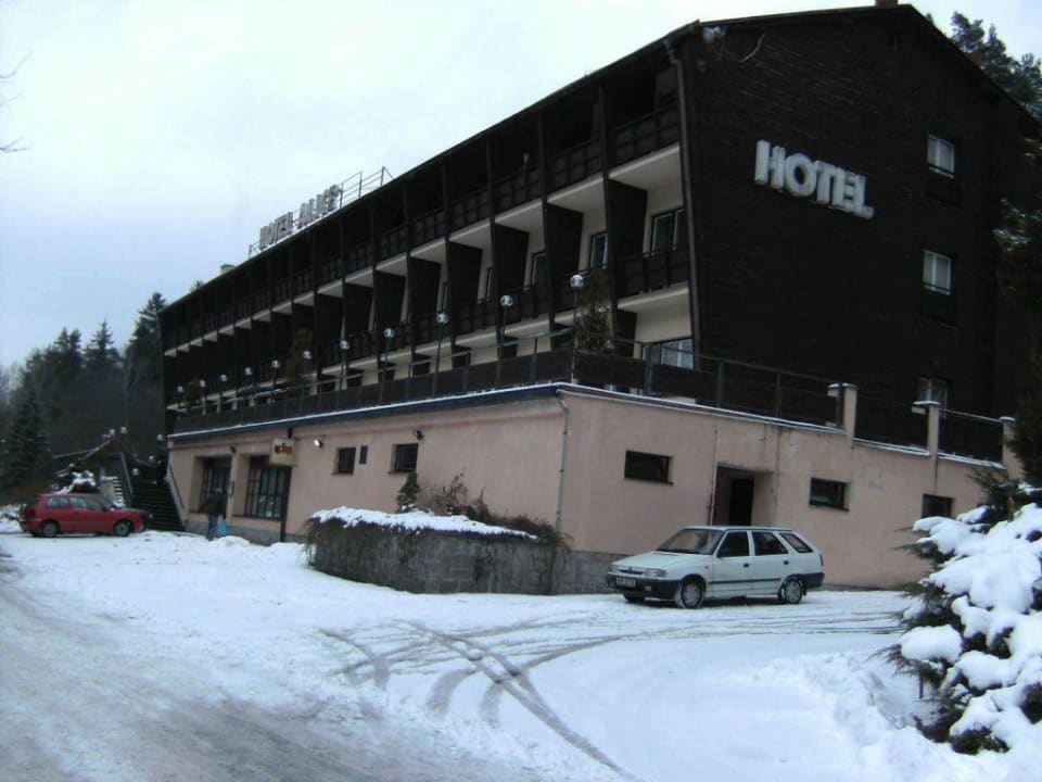 Das Hotel Hotel Green Paradise