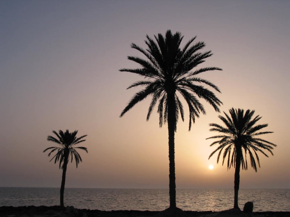 Sonnenaufgang Hotel Sangho Club Zarzis