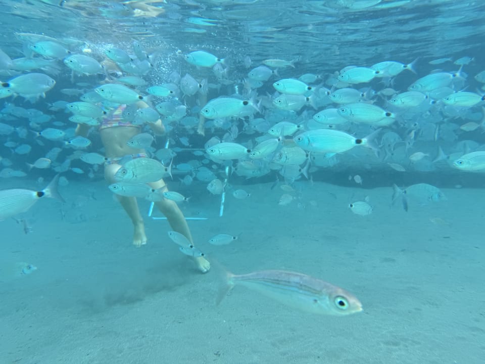 Strand Holiday Inn Resort Bodrum