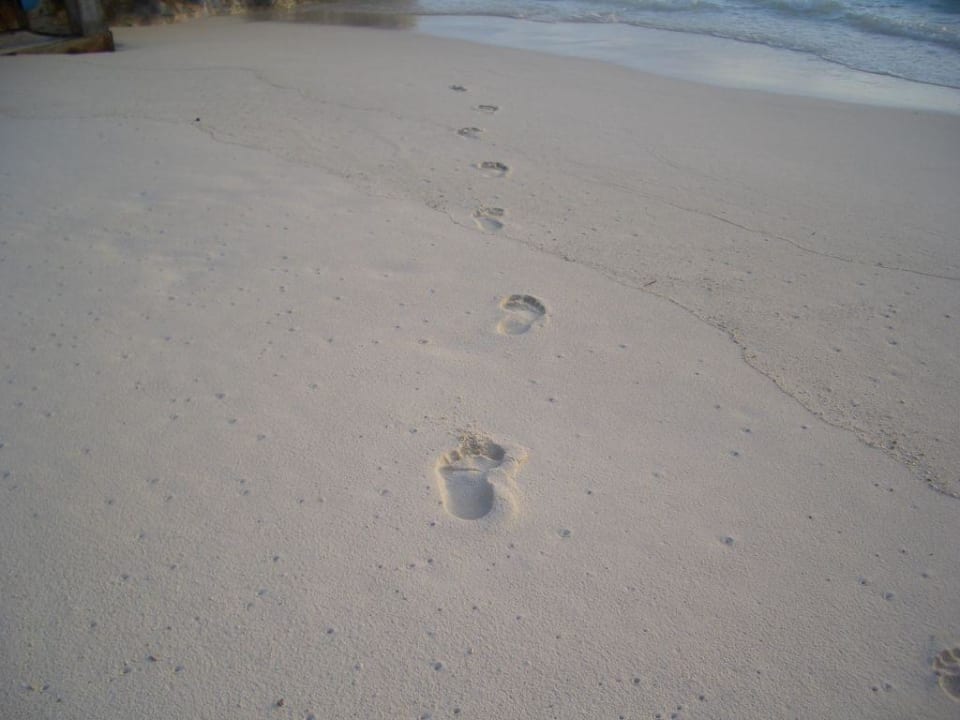 Bye Bye Summer Island Maldives