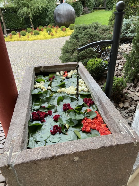 Gartenanlage Hotel Spitaler