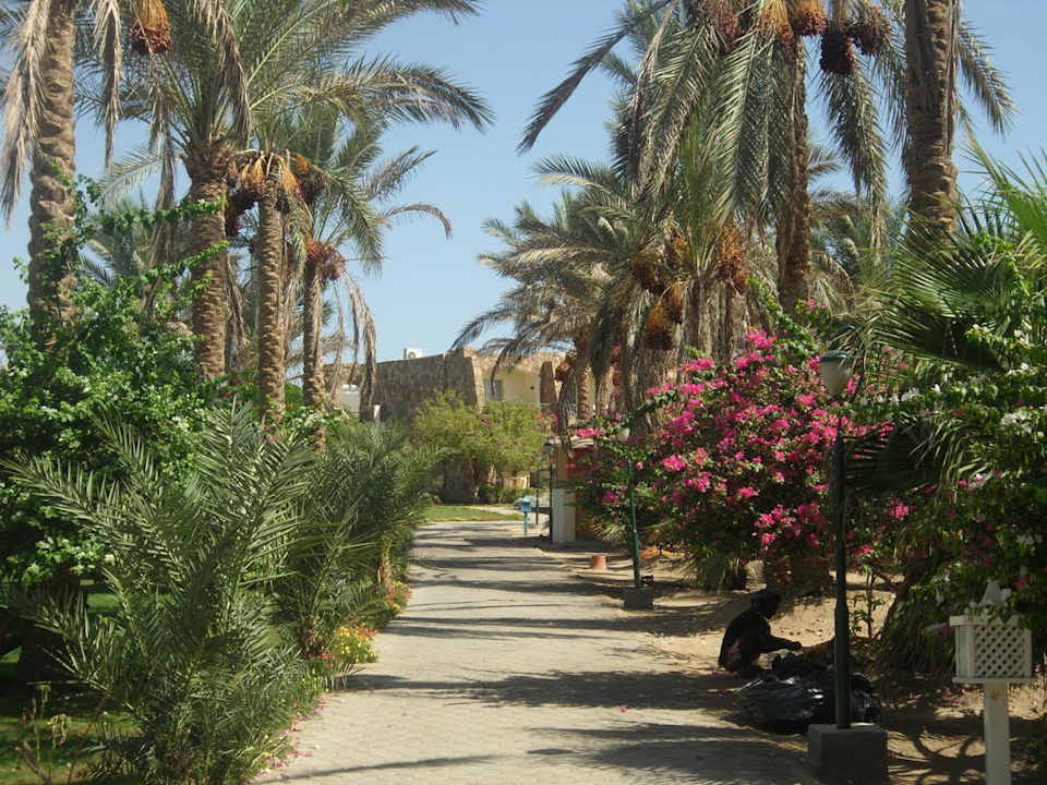 Ogród Brayka Bay Resort