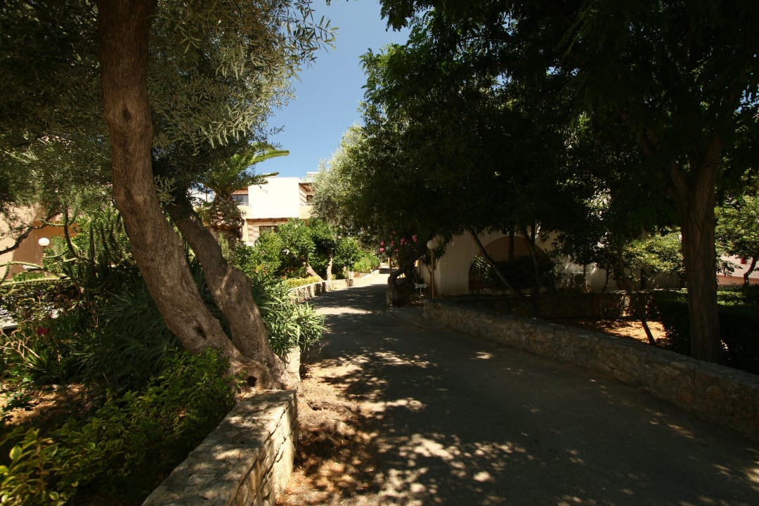 Domki hotelowe znajdowały się w ogrodzie Sirios Village Hotel & Bungalows