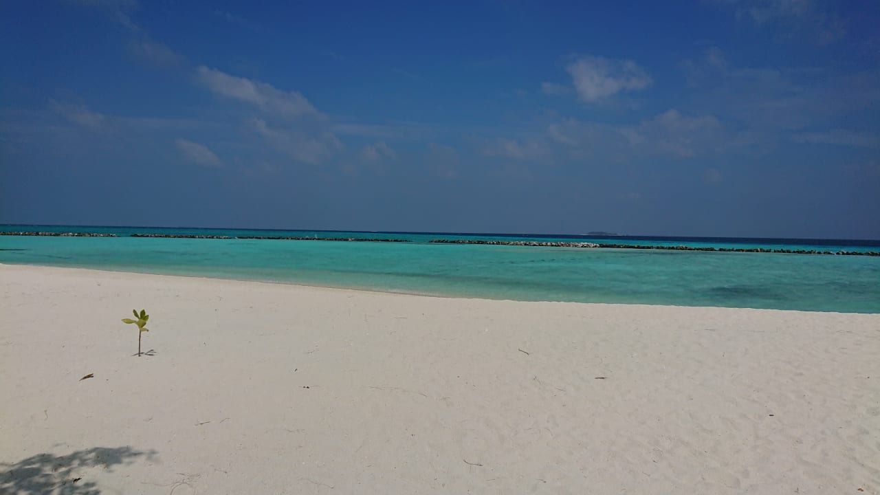 Wasser so klar.Unglaublich. Summer Island Maldives