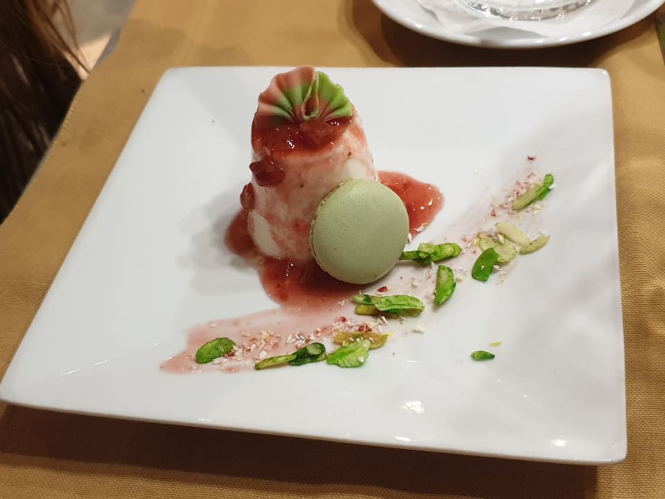 Gastro HVD Viva Club Hotel