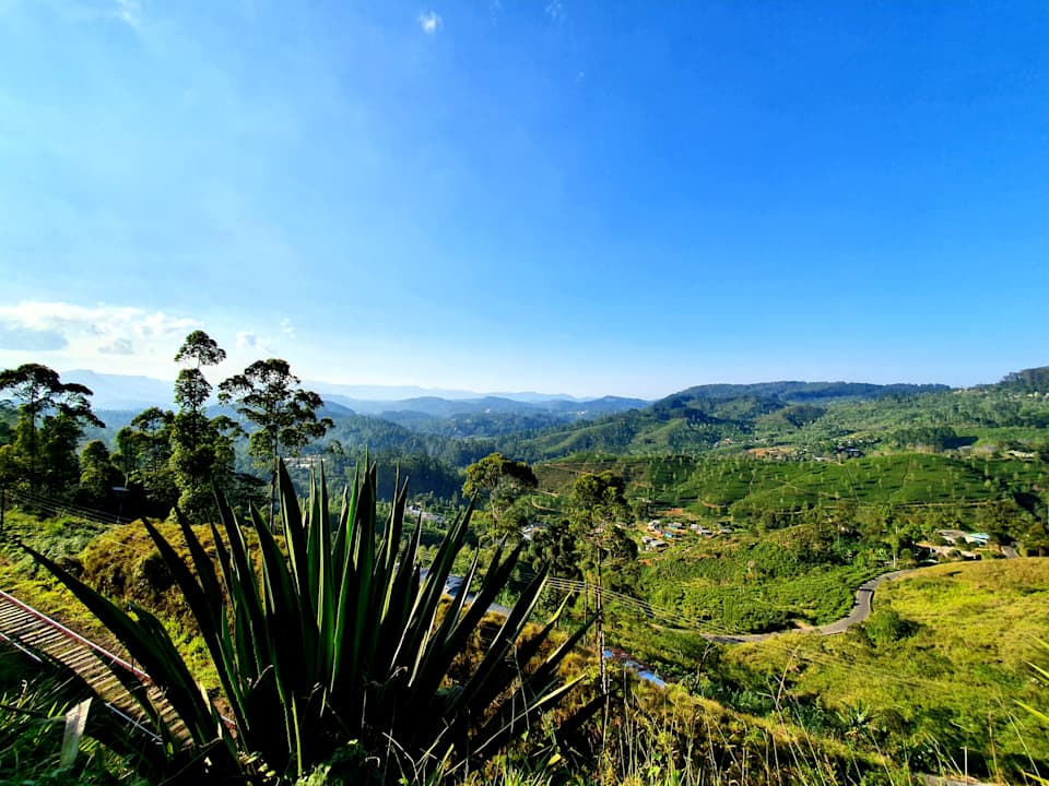 Ausblick Olympus Plaza Hotel