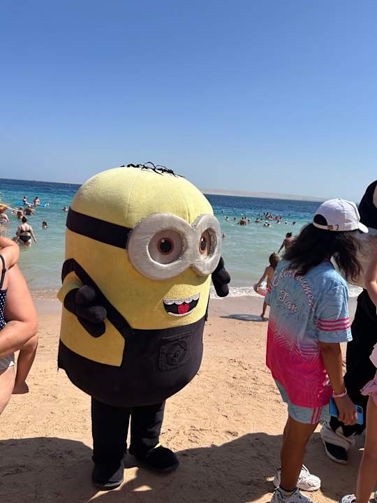 Sport & Freizeit Seagull Beach Resort