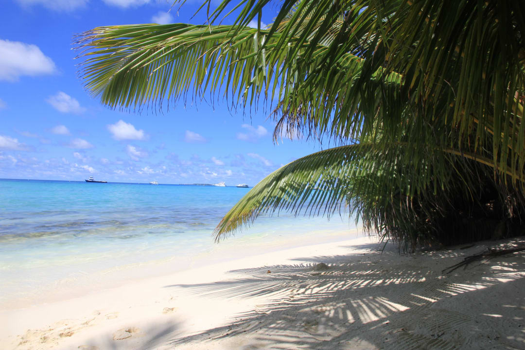 Ein Traum Kuramathi Maldives