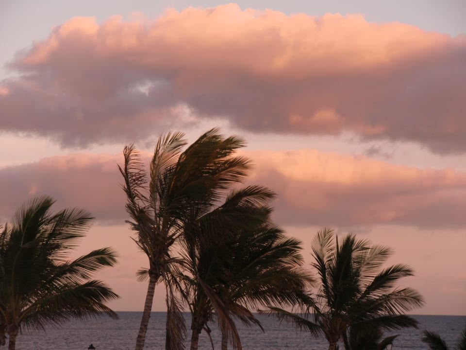 Blick vom Balkon Hotel Las Costas