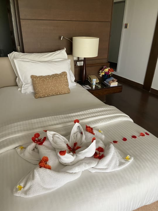 Zimmer Steigenberger Makadi Hotel - Adults only