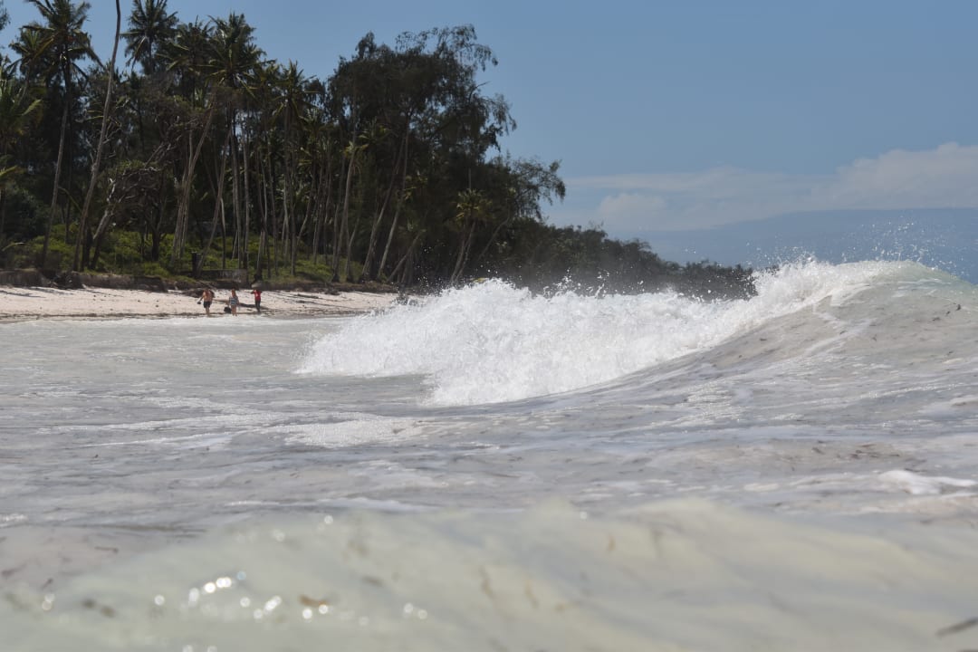 Strand Diani Sea Resort