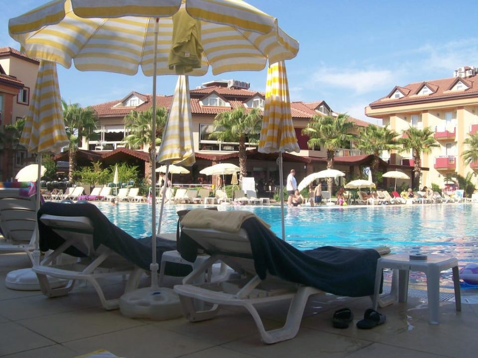 Der Pool Hotel Orfeus Park