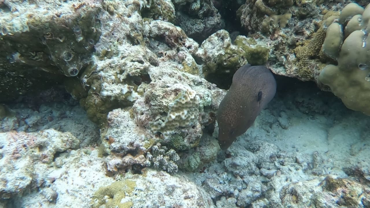 Sport & Freizeit NH Collection Maldives Reethi Resort