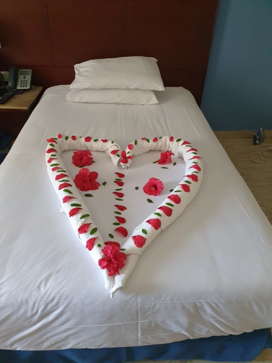 Zimmer Stella Garden Resort & Spa, Makadi Bay