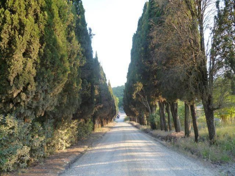 Typische Toskana-Allee Borgo Di Pietrafitta Relais