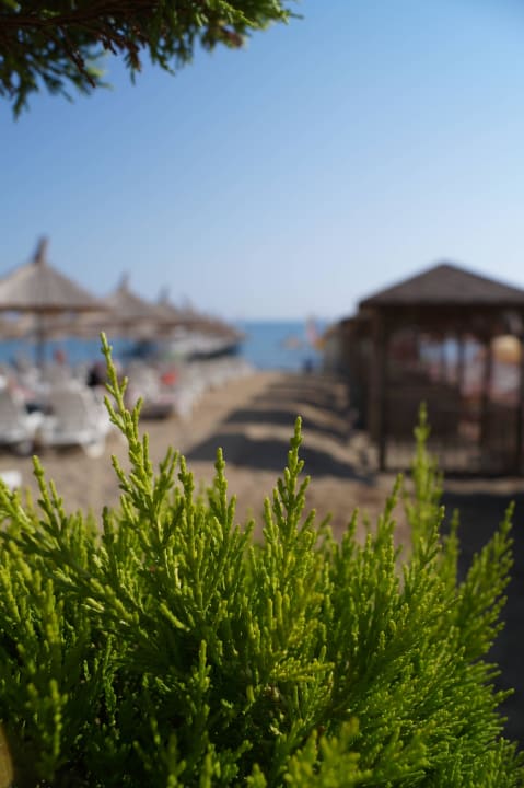 Strand Quattro Beach Spa & Resort
