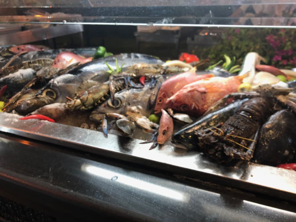 Gastro Stella Beach Resort & Spa Makadi Bay